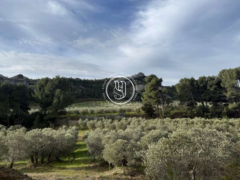 Villa Saint-Rémy-de-Provence - 800m²