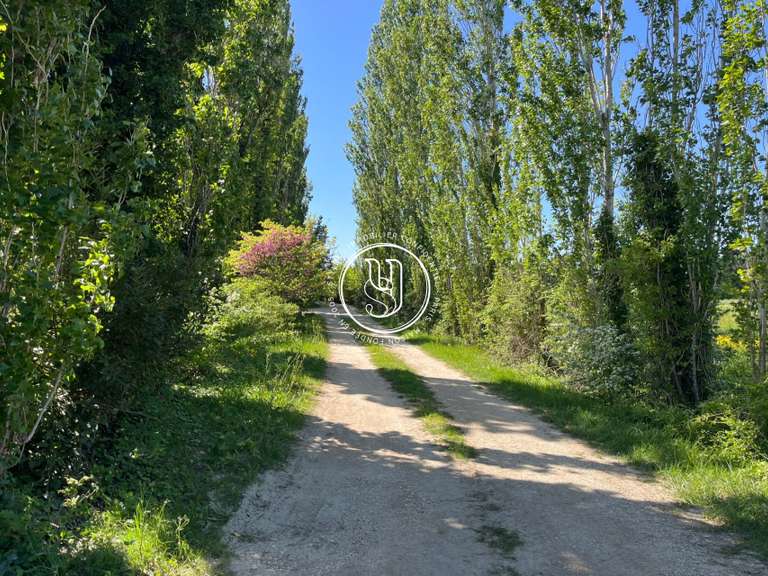 Villa Saint-Rémy-de-Provence - 5 chambres - 200m²