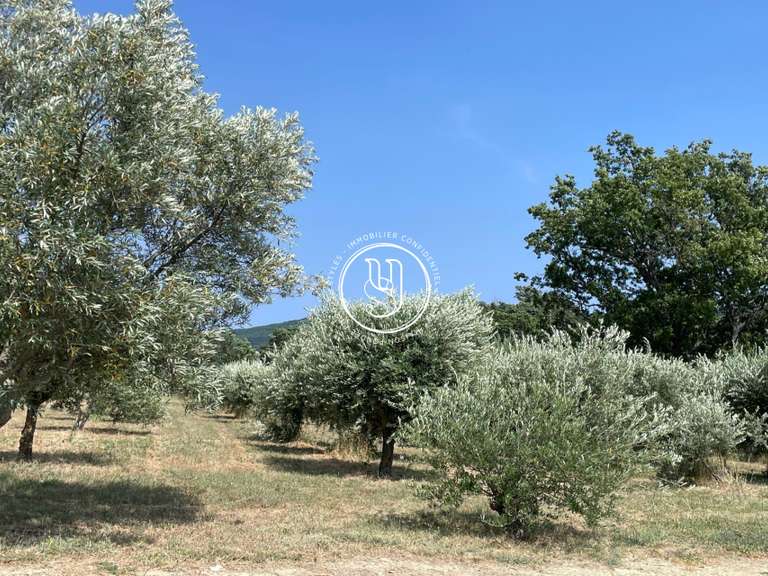 Villa Saint-Rémy-de-Provence - 6 bedrooms - 220m²