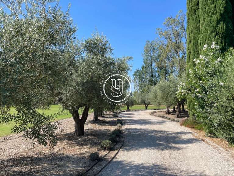 Villa Saint-Rémy-de-Provence - 6 chambres - 220m²