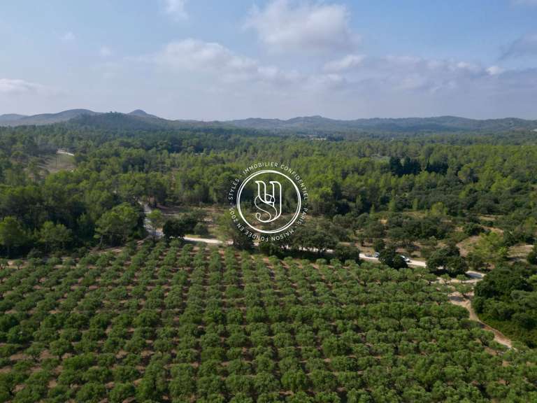 Villa Saint-Rémy-de-Provence - 7 bedrooms - 431m²