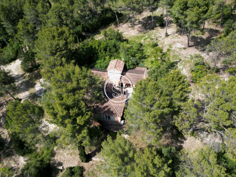 Villa Saint-Rémy-de-Provence - 37 bedrooms - 2629m²