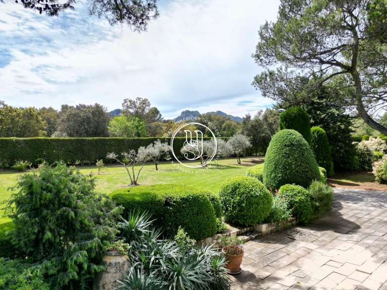 Villa Saint-Rémy-de-Provence - 5 bedrooms - 390m²