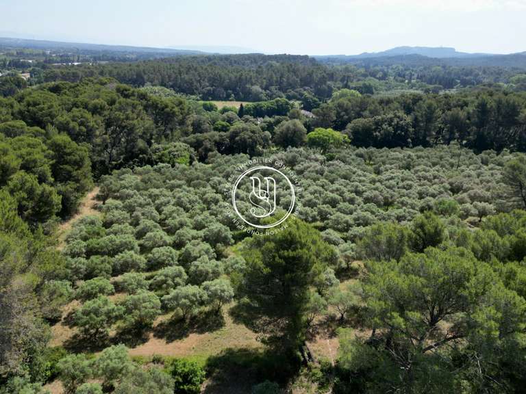 Villa Saint-Rémy-de-Provence - 4 chambres - 234m²