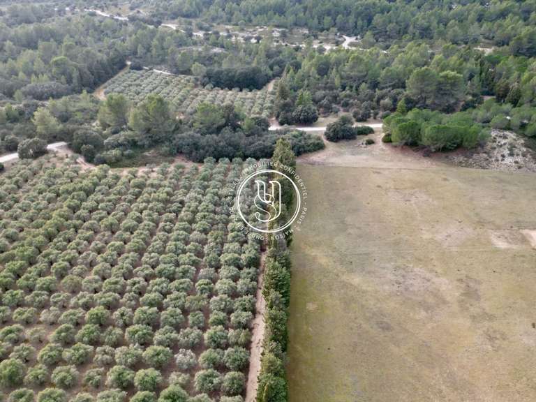 Villa Saint-Rémy-de-Provence - 7 chambres - 431m²