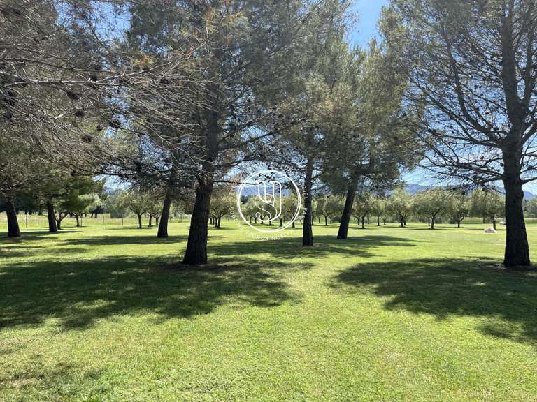 Villa Saint-Rémy-de-Provence - 5 chambres - 400m²