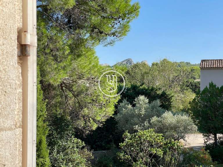 Villa Saint-Rémy-de-Provence - 4 chambres - 179m²