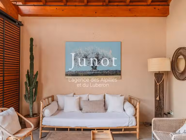 Villa Saint-Rémy-de-Provence - 4 chambres - 210m²
