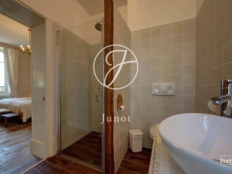 Manor Saint-Saulge - 9 bedrooms - 486m²