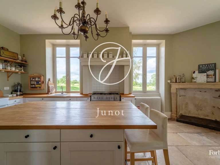 Manor Saint-Saulge - 9 bedrooms - 486m²