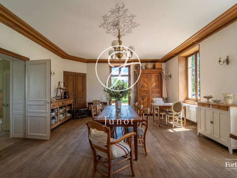 Manor Saint-Saulge - 9 bedrooms - 486m²