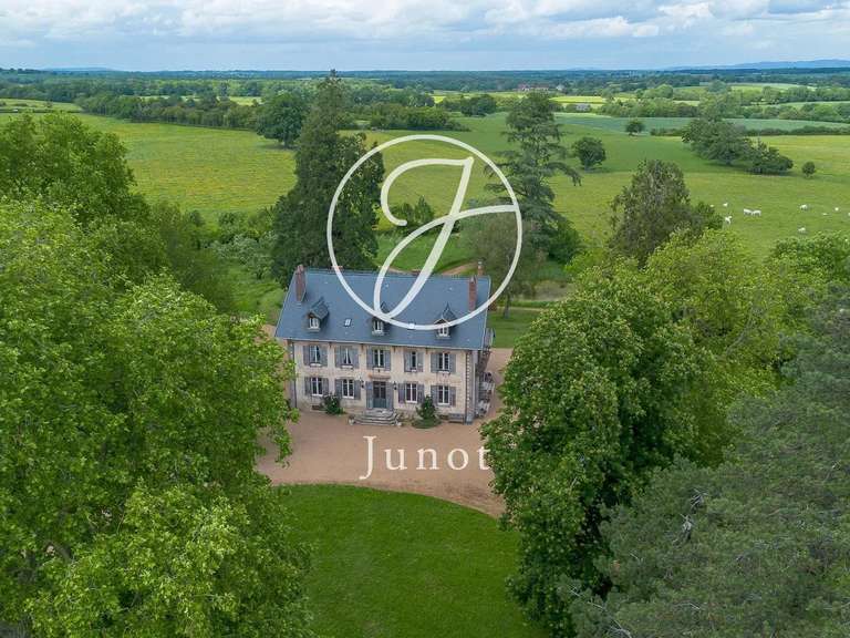 Manoir Saint-Saulge - 9 chambres - 486m²