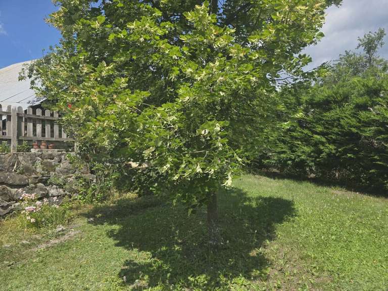 Maison Saint-Sauveur - 10 chambres - 378m²