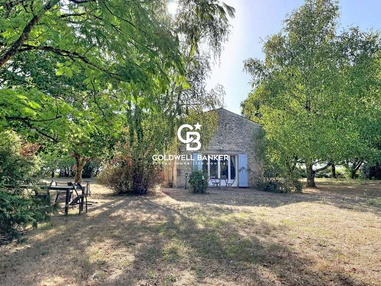 Propriété Saint-Savinien - 6 chambres - 620m²