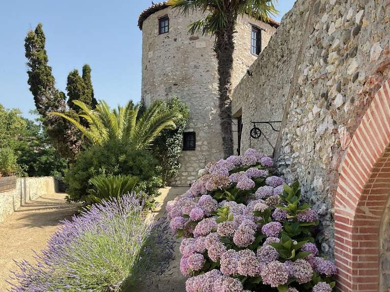 Maison Saint-Sever - 5 chambres - 425m²