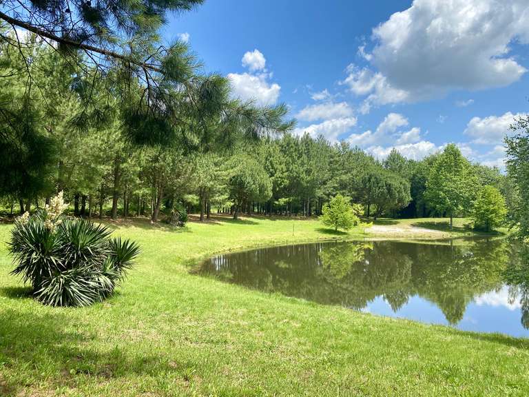 Maison Saint-Sever - 6 chambres - 347m²