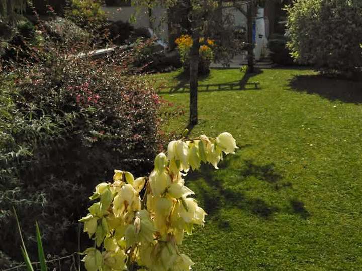 House Saint-Sigismond