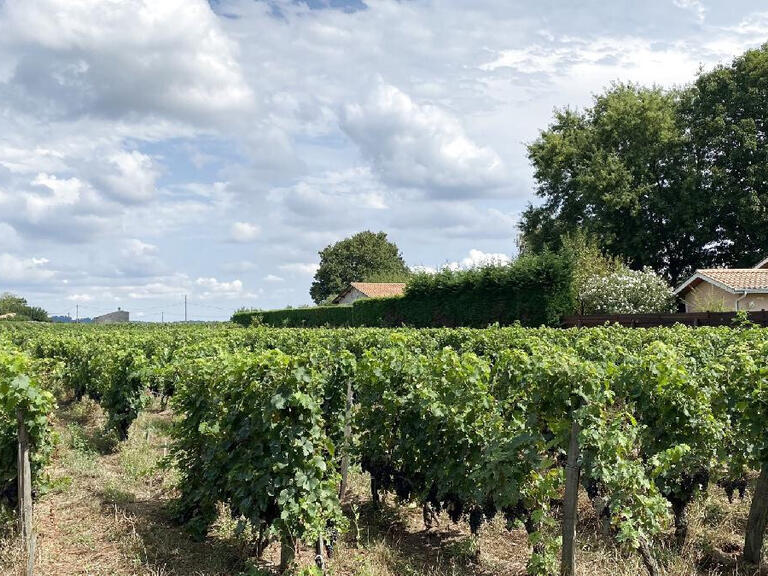 Land Saint-Sulpice-de-Faleyrens - 25000m²