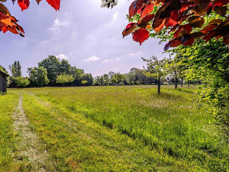 House Saint-Sylvestre-de-Cormeilles - 6 bedrooms - 200m²