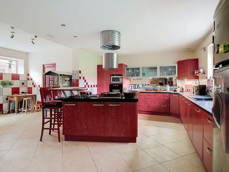 Moulin Saint-Symphorien-sur-Coise - 6 chambres - 334m²