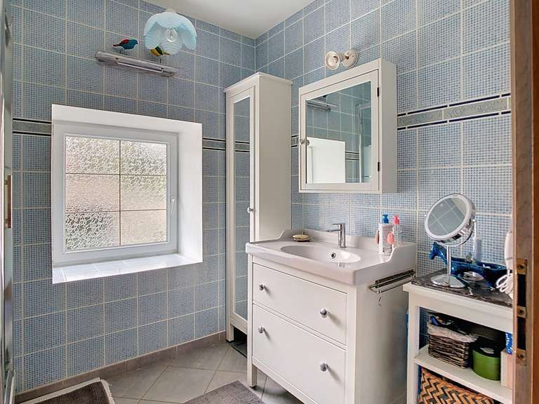 Moulin Saint-Symphorien-sur-Coise - 6 chambres - 334m²