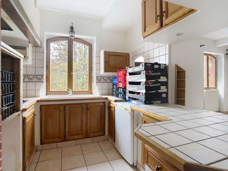 Moulin Saint-Symphorien-sur-Coise - 6 chambres - 334m²