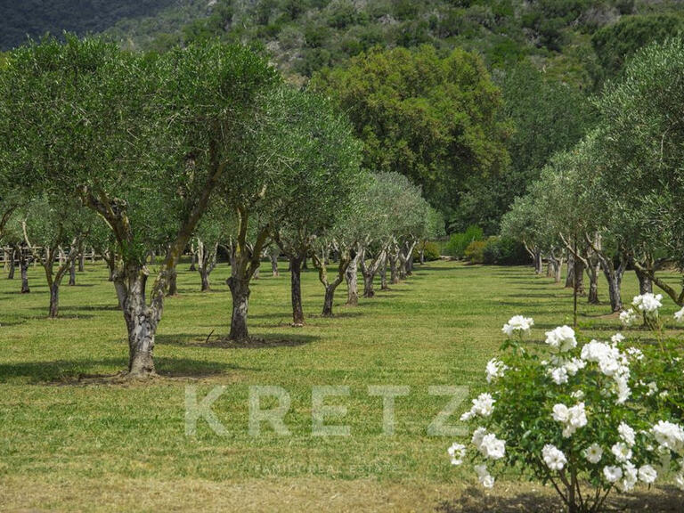 Maison Saint-Tropez - 9 chambres - 700m²