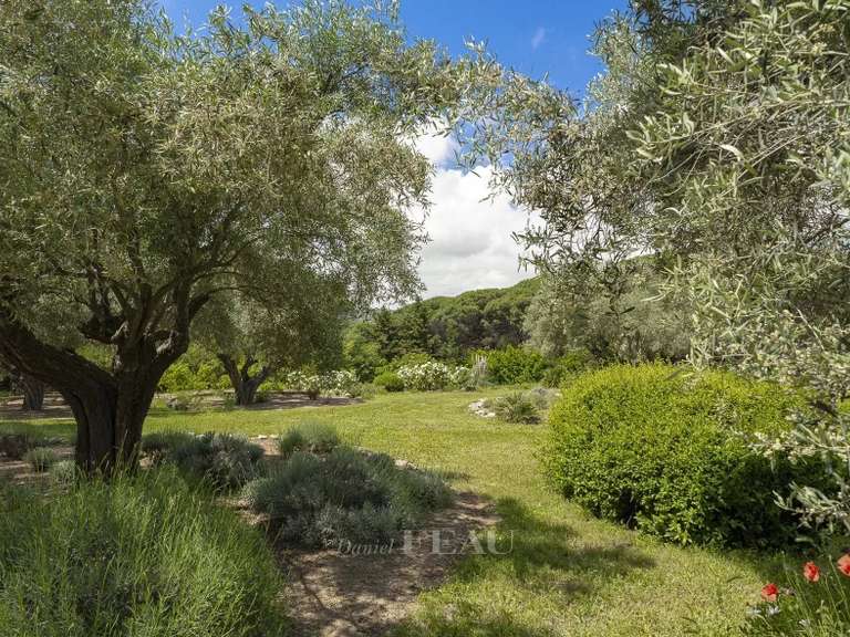 Maison Saint-Tropez - 5 chambres - 383m²