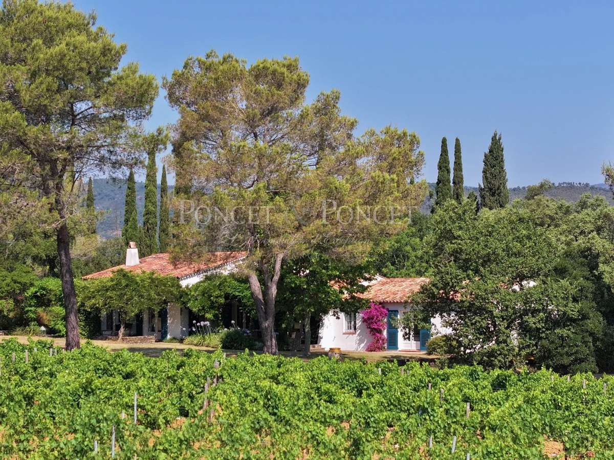 Property Saint-Tropez