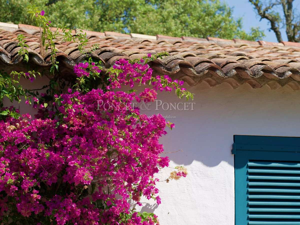 Property Saint-Tropez