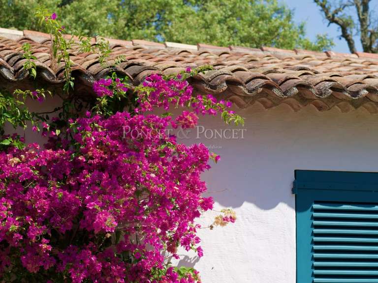 Property Saint-Tropez - 4 bedrooms - 200m²