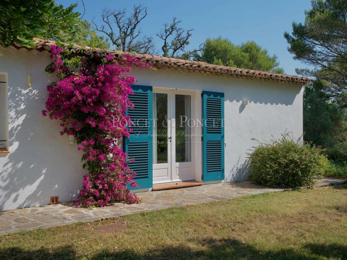 Property Saint-Tropez