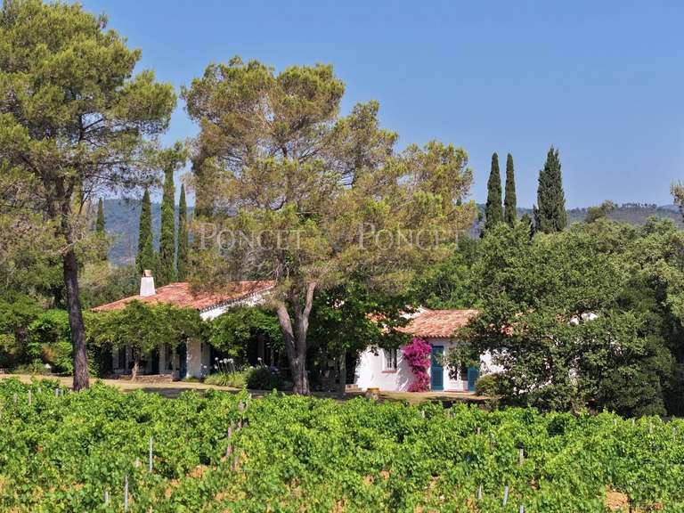 Property Saint-Tropez - 4 bedrooms - 200m²