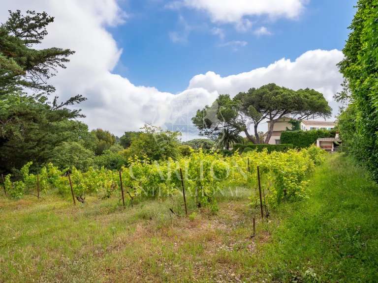 Villa avec Vue sur mer Saint-Tropez - 8 chambres - 600m²