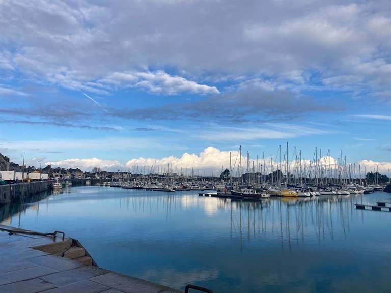 Maison Saint-Vaast-la-Hougue - 4 chambres - 212m²