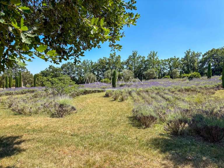 Villa Saint-Vallier-de-Thiey - 6 chambres - 292m²