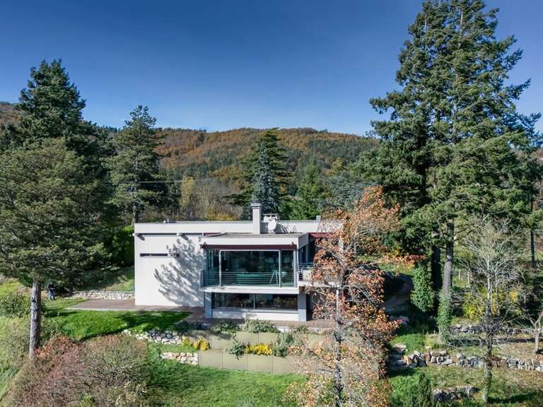 Maison Saint-victor-sur-loire - 232m²