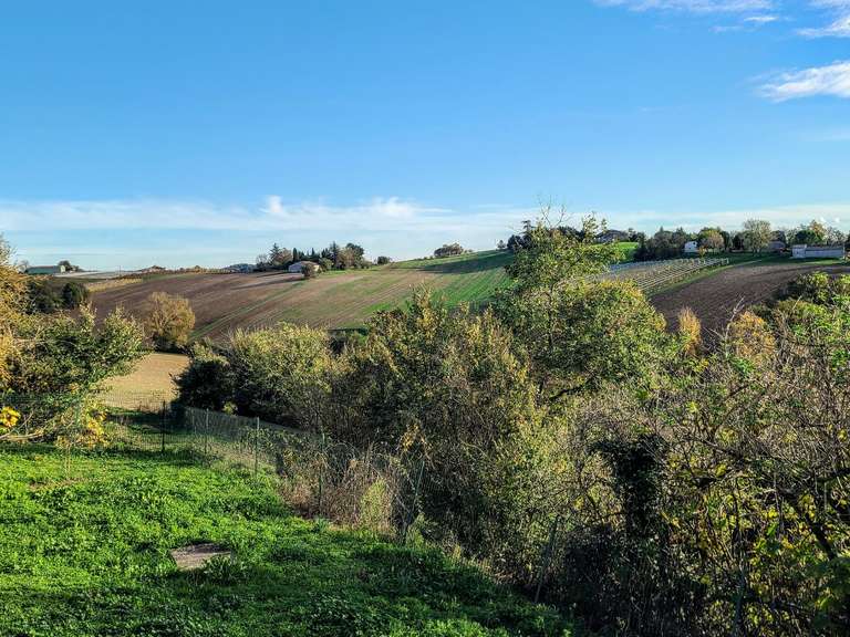 Propriété Saint-Vincent-Lespinasse - 11 chambres - 556m²