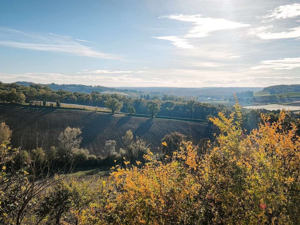 Property Saint-Vincent-Lespinasse