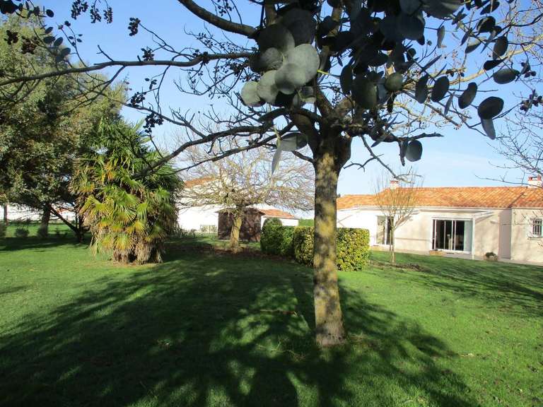 Maison Saint-Vincent-sur-Jard - 3 chambres