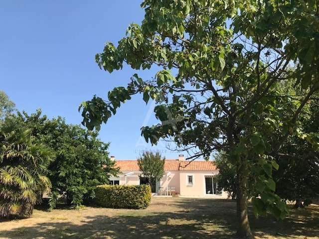 Maison Saint-Vincent-sur-Jard - 3 chambres