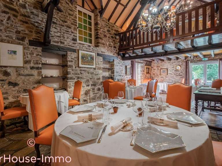 Villa Saint-Yrieix-la-Perche - 13 chambres - 675m²