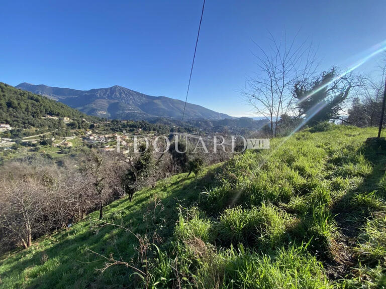 Terrain Sainte-Agnès - 8551m²