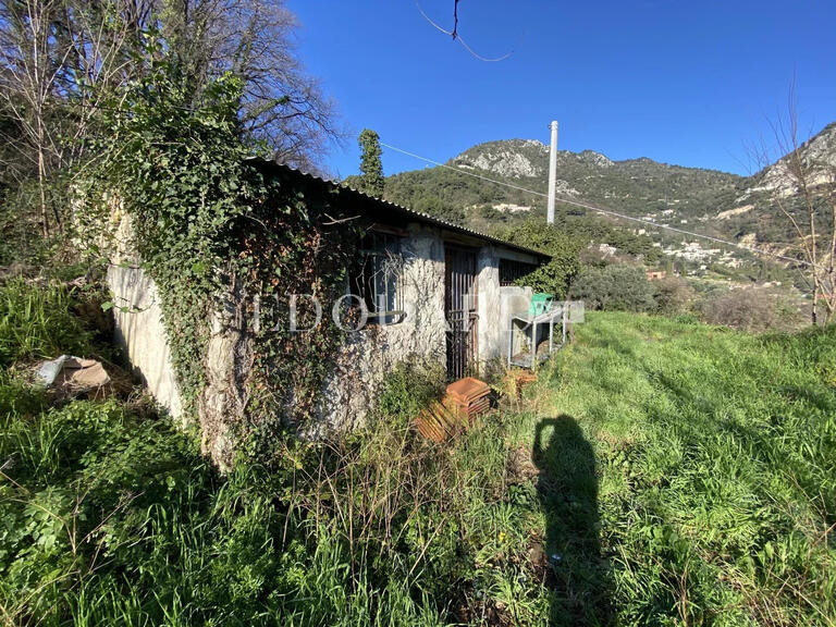 Terrain Sainte-Agnès - 8551m²