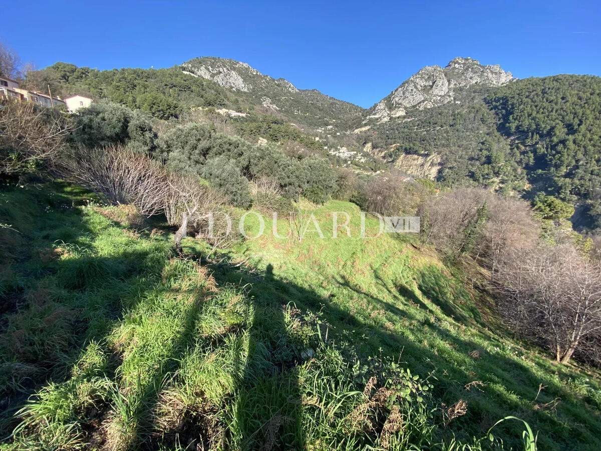 Terrain Sainte-Agnès