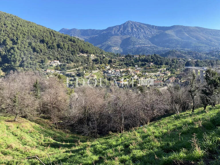 Terrain Sainte-Agnès - 8551m²