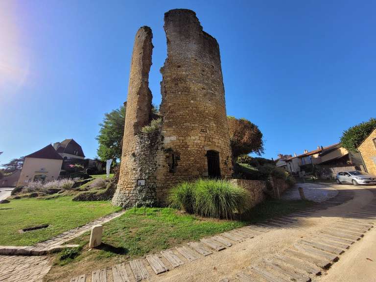 Maison Sainte-Alvère - 6 chambres - 334m²