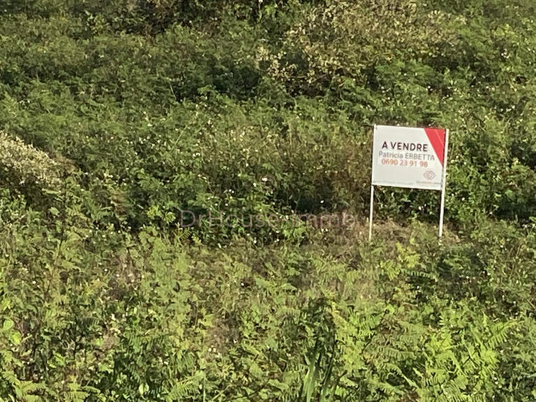 Vente Terrain Sainte-Anne