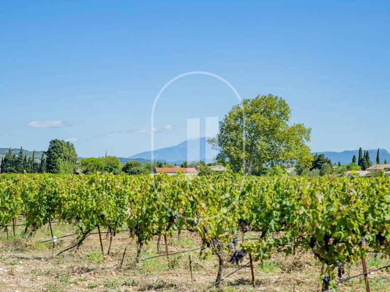 Maison Sainte-Cécile-les-Vignes - 5 chambres - 257m²