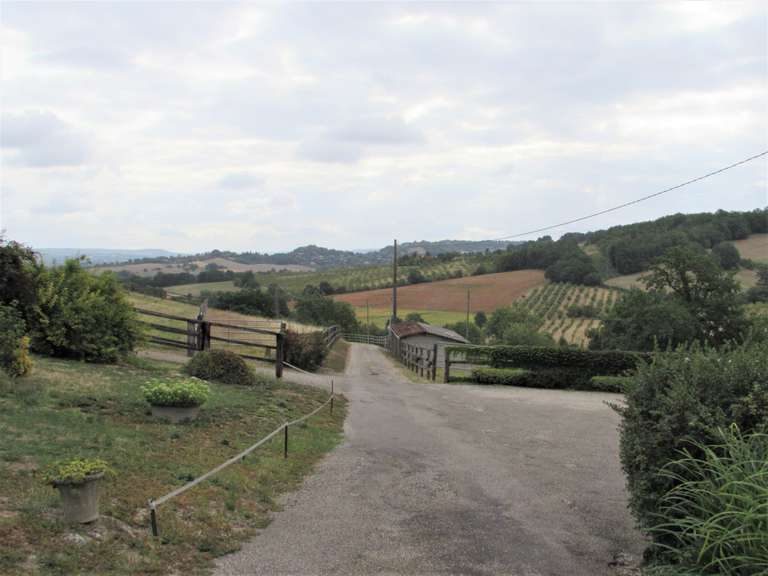 Maison Sainte-Colombe-de-Villeneuve - 4 chambres - 240m²